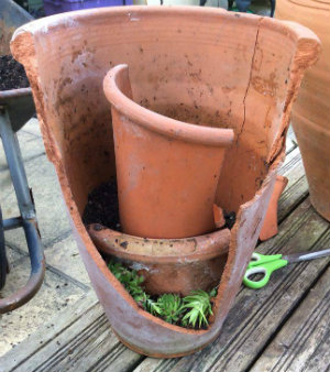 Making a fairy/min garden buiding from the bottom up adding plants, soil and pot shards